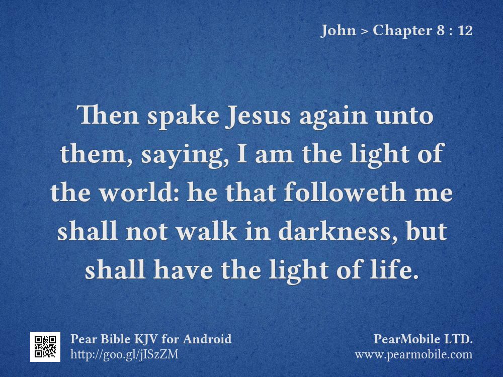 John, Chapter 8:12